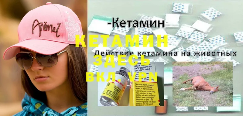 хочу наркоту  Петровск  Кетамин ketamine 